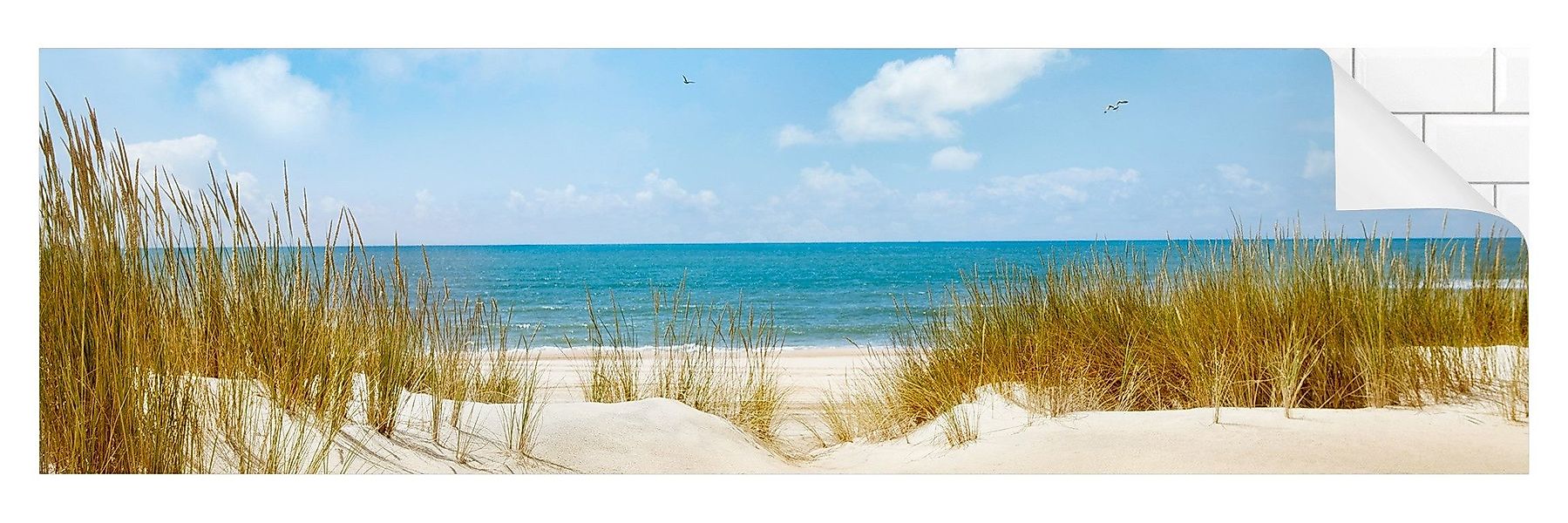 Bilderdepot24 Küchenrückwand beige dekor Natur Strand günstig online kaufen