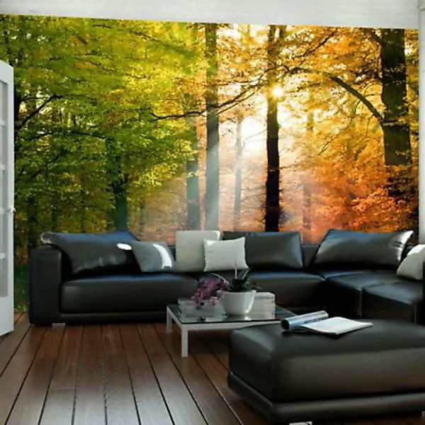 artgeist Fototapete Wunderschöner Herbst mehrfarbig Gr. 350 x 270 günstig online kaufen