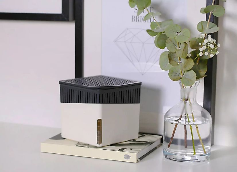 WENKO Luftentfeuchter »Cube«, für 80 m³ Räume günstig online kaufen