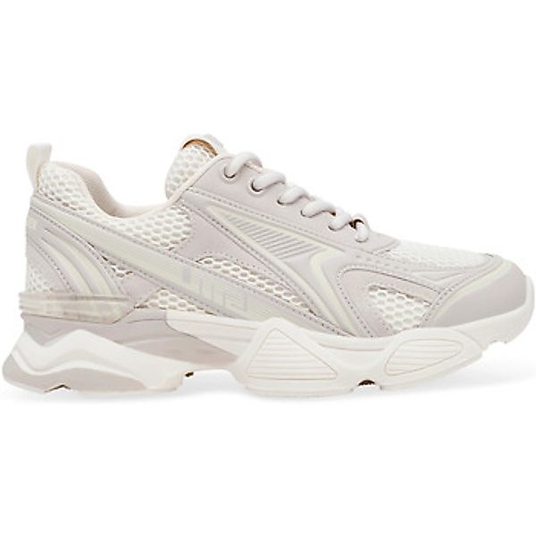 Steve Madden  Sneaker Baskets  Speedster-E günstig online kaufen
