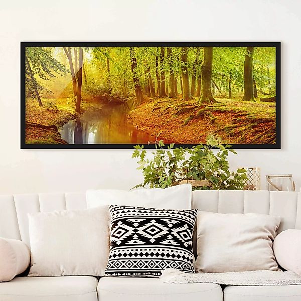 Bild mit Rahmen Natur & Landschaft - Panorama Herbstwald günstig online kaufen