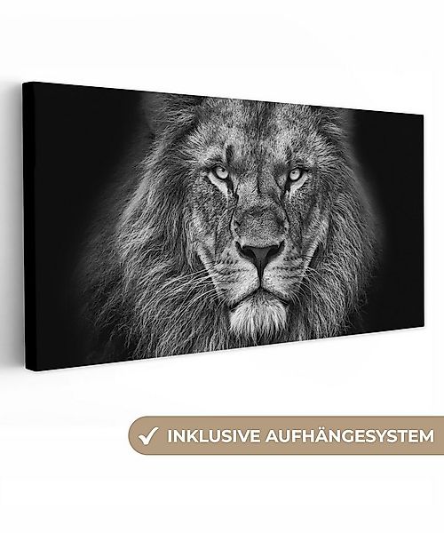OneMillionCanvasses® Leinwandbild Panorama Tiere - Löwe - Schwarz - Weiß - günstig online kaufen