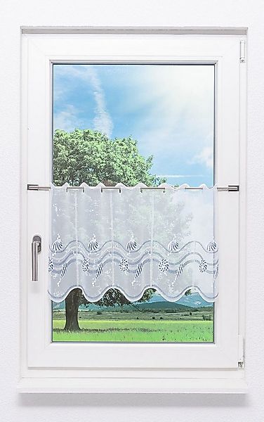 Plauener Spitze® Scheibengardine Muscheln (1 St), transparent, HxB 40x48.9c günstig online kaufen
