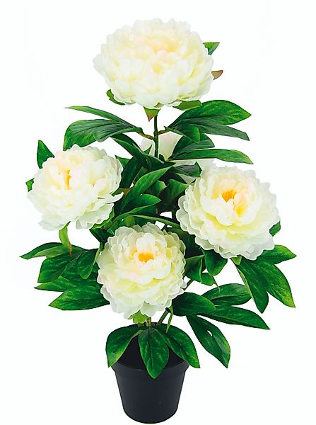 Kunstblume Päonie, I.GE.A., Höhe 54 cm, günstig online kaufen