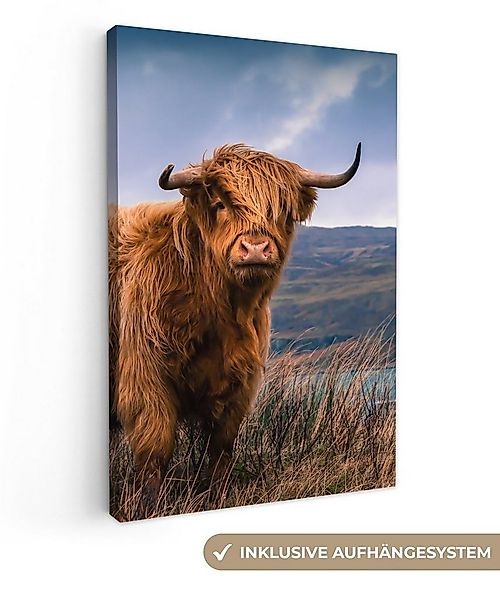OneMillionCanvasses® Leinwandbild Schottischer Highlander - Berg - Wasser - günstig online kaufen
