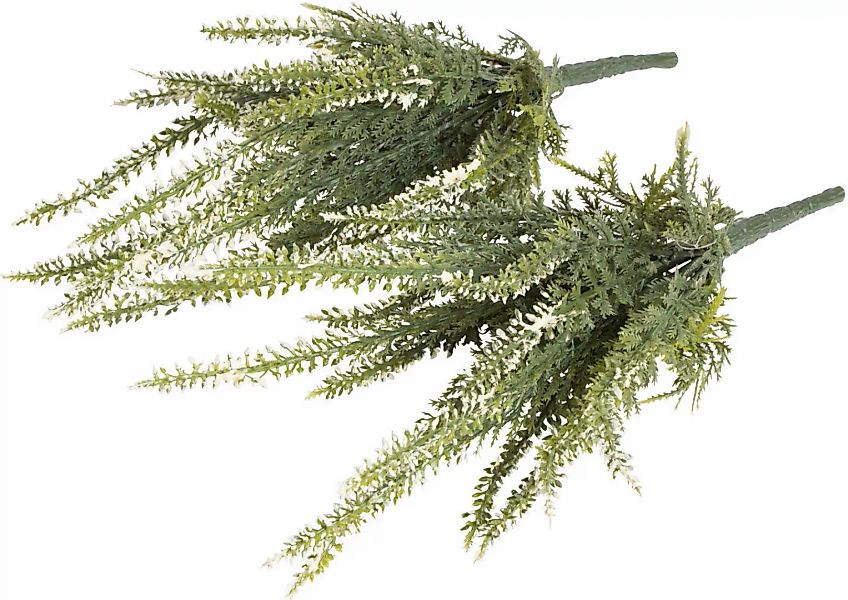 Botanic-Haus Kunstblume "Erikabusch mit 15 Stielen" günstig online kaufen