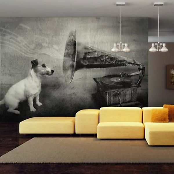 artgeist Fototapete Dog's melodies schwarz/weiß Gr. 300 x 231 günstig online kaufen