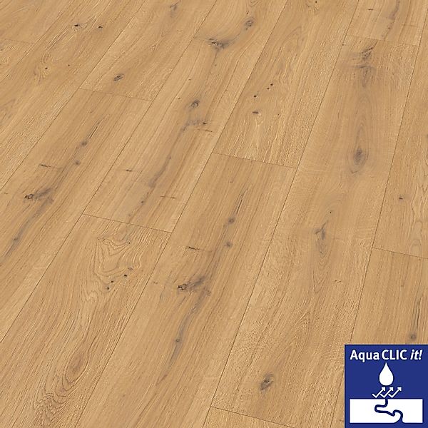 EGGER Laminat EL1005 Predaia Eiche honig, günstig online kaufen