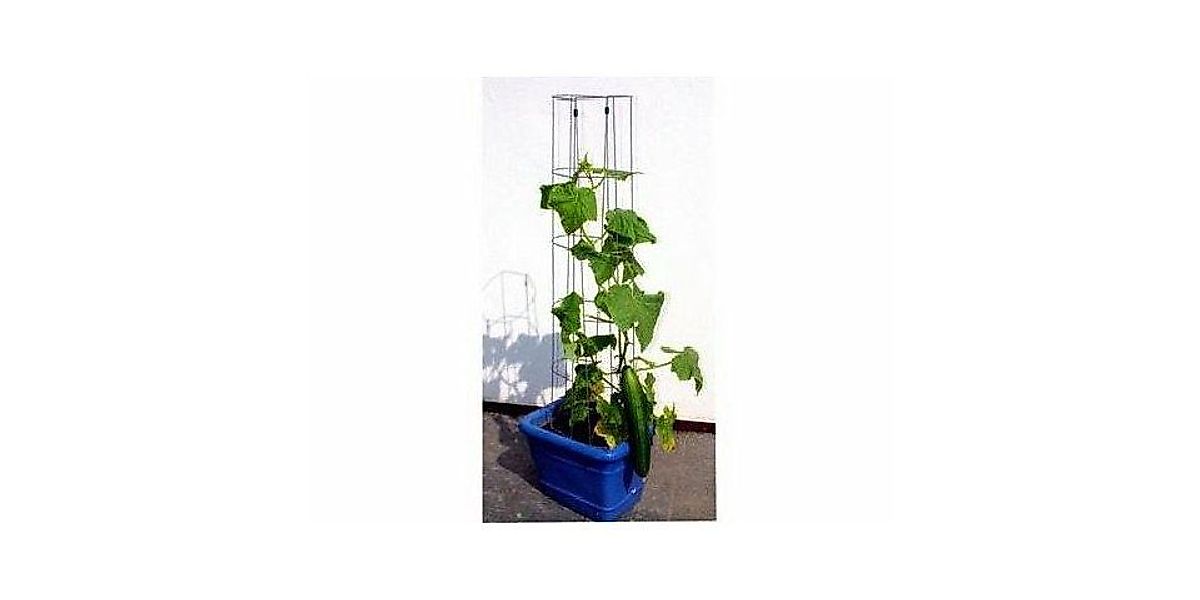Bellissa Rankhilfe Bellissa Gurkenturm 120cm 120 günstig online kaufen