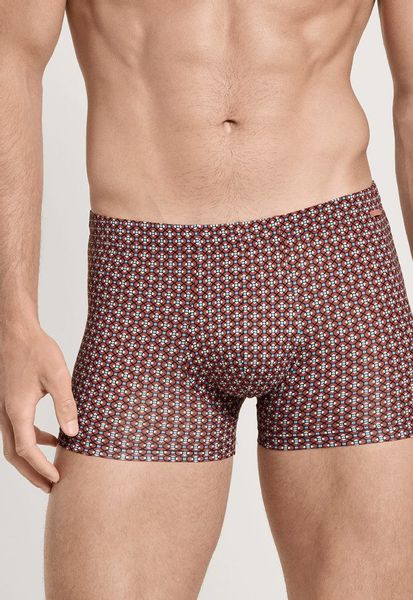 CALIDA Boxer Daywear Xtra Herren (1-St) günstig online kaufen