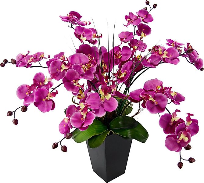 Kunstpflanze Phalaenopsis im Topf, I.GE.A., Höhe 66 cm günstig online kaufen