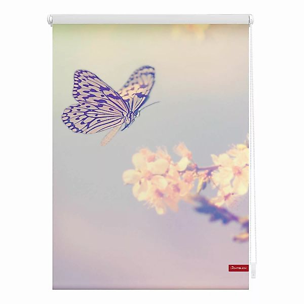 Rollo Schmetterling rosa B/L: ca. 70x150 cm günstig online kaufen