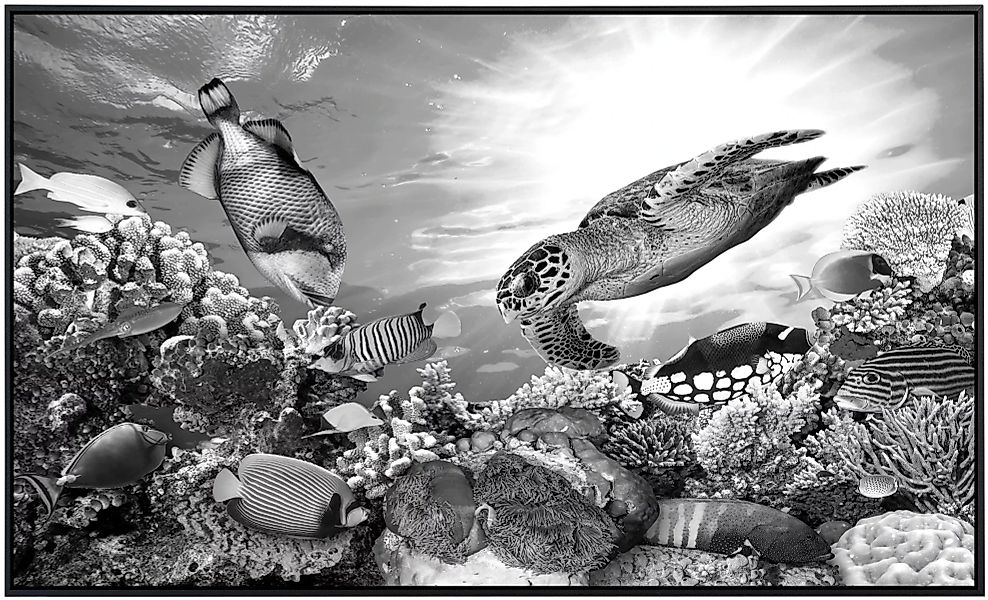 Papermoon Infrarotheizung »Korallenriff Schwarz & Weiß«, sehr angenehme Str günstig online kaufen