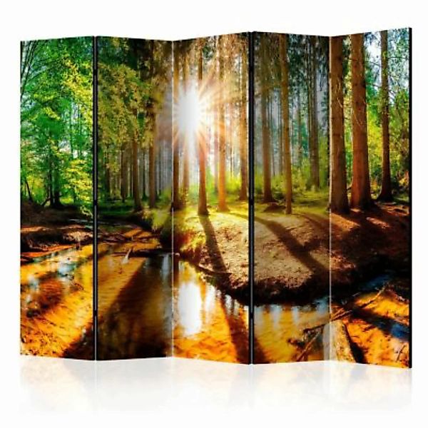 artgeist Paravent Marvelous Forest II [Room Dividers] mehrfarbig Gr. 225 x günstig online kaufen