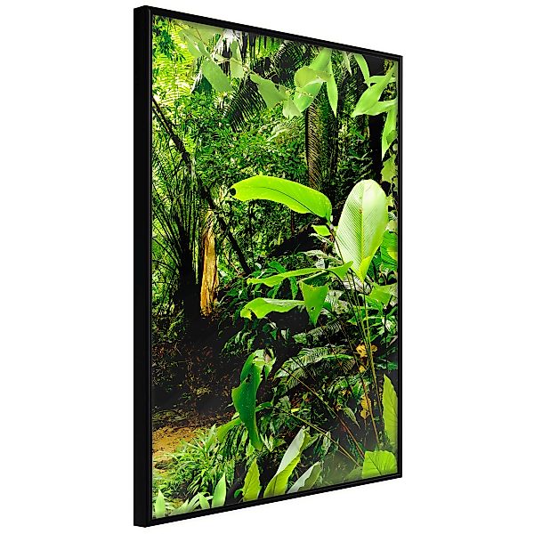 Poster - In The Rainforest günstig online kaufen