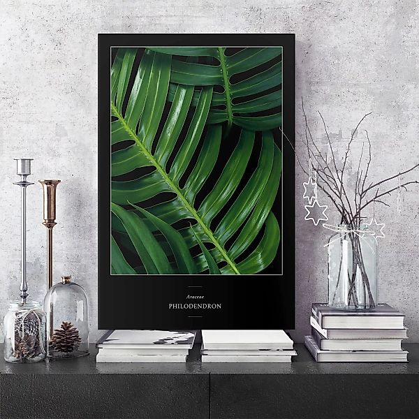 Leinwandbild - Hochformat Tropische Blätter Philodendron günstig online kaufen