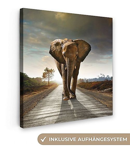 OneMillionCanvasses® Leinwandbild Elefant - Straße - Tiere - Sonnenuntergan günstig online kaufen