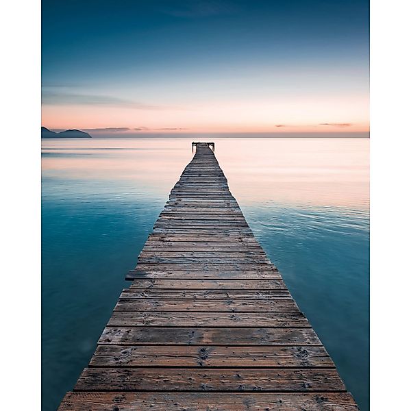 Komar Fototapete Vlies Morning Breeze  200 x 250 cm günstig online kaufen
