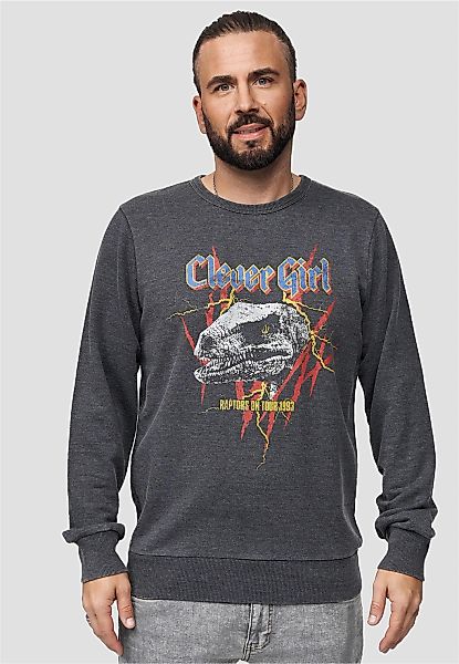 Recovered Sweatshirt "Jurassic Park T-Rex Rock", im lockeren Schnitt günstig online kaufen