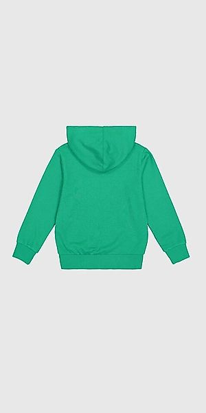 Champion Sweatshirt Hooded Sweatshirt GFD günstig online kaufen