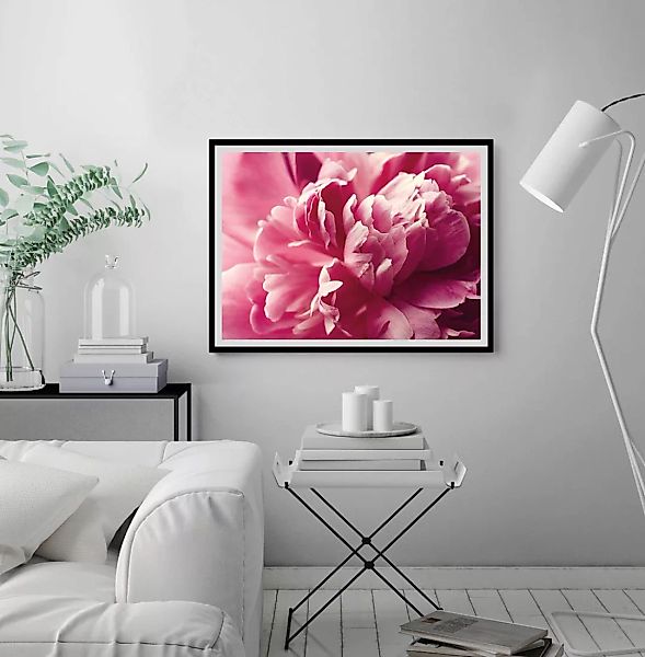 queence Bild "Andreas", Blumen-Blumenbilder-Pflanzenbilder-Foto-Kunst, HD P günstig online kaufen