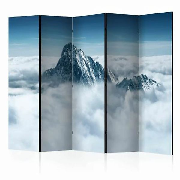 artgeist Paravent Mountain in the clouds II [Room Dividers] weiß-kombi Gr. günstig online kaufen