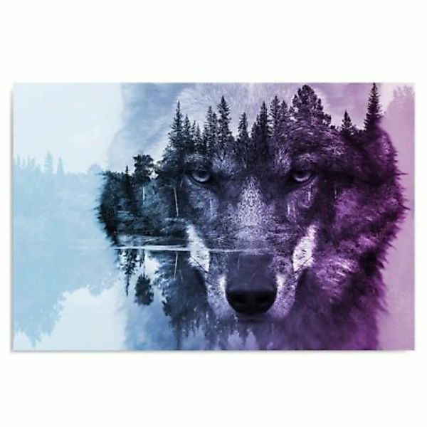 FEEBY® Kunst Wolf On The Forest Background Purple Leinwandbilder bunt Gr. 4 günstig online kaufen
