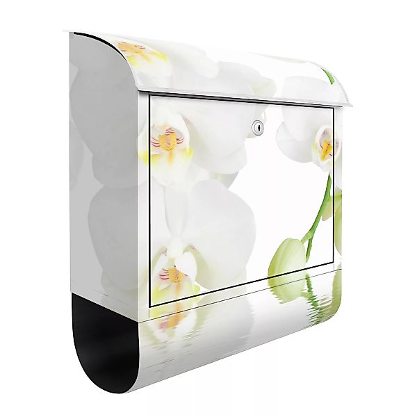 Briefkasten Blumen Wellness Orchidee - Weiße Orchidee günstig online kaufen