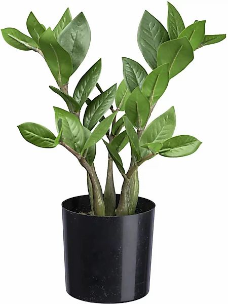 Creativ green Künstliche Zimmerpflanze "Zamifolia", mit detailgetreuen Blät günstig online kaufen