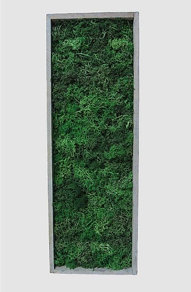 meinvipshop Wandbild Moosbild mit echtem konserviertem Moos 40 x 14cm grau, günstig online kaufen