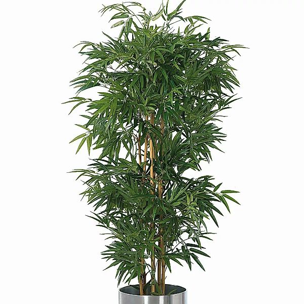 home24 Kunstpflanze Bambusbaum günstig online kaufen