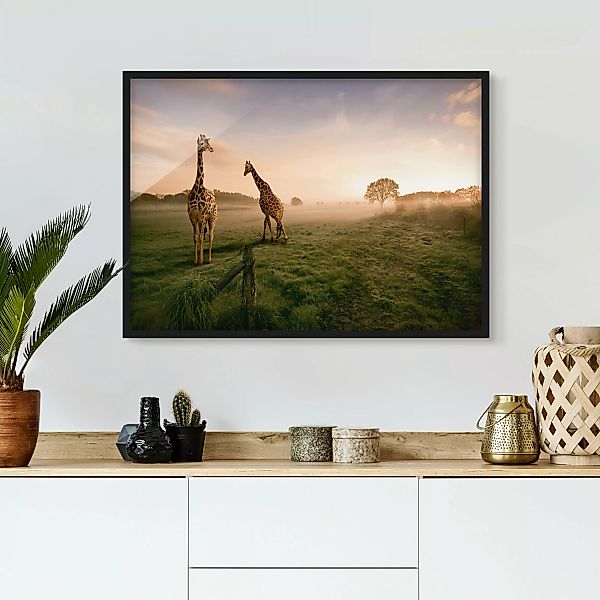 Bild mit Rahmen - Querformat Surreal Giraffes günstig online kaufen