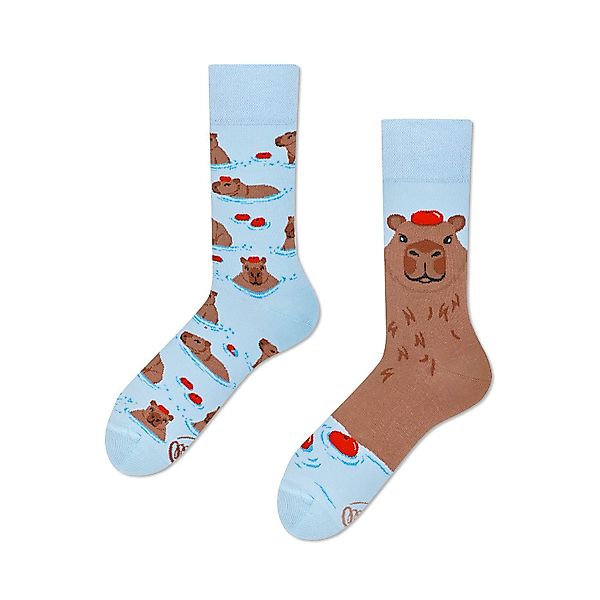 Many Mornings Freizeitsocken Capybara Many Mornings günstig online kaufen