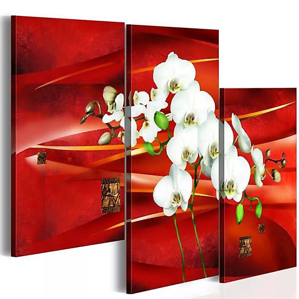 Wandbild Orientalische Orchidee XXL günstig online kaufen