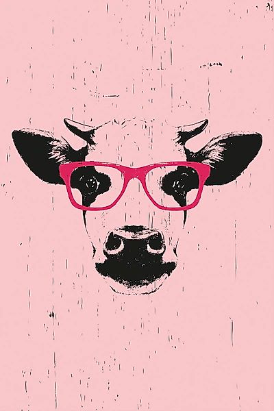 queence Leinwandbild »Kuh mit Brille« Comic   Kuh   Kuhbilder Premium-Leinw günstig online kaufen