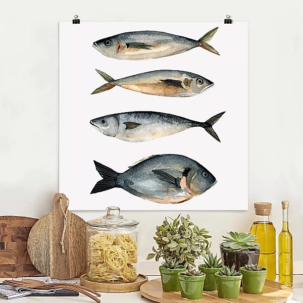 Poster - Quadrat Vier Fische in Aquarell I günstig online kaufen