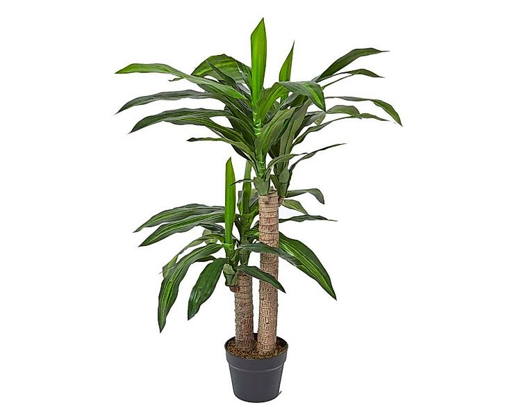 Kunstbaum Dracaena Fragrans (Drachenbaum) Kunstpflanze im Topf - 90 cm, Hom günstig online kaufen