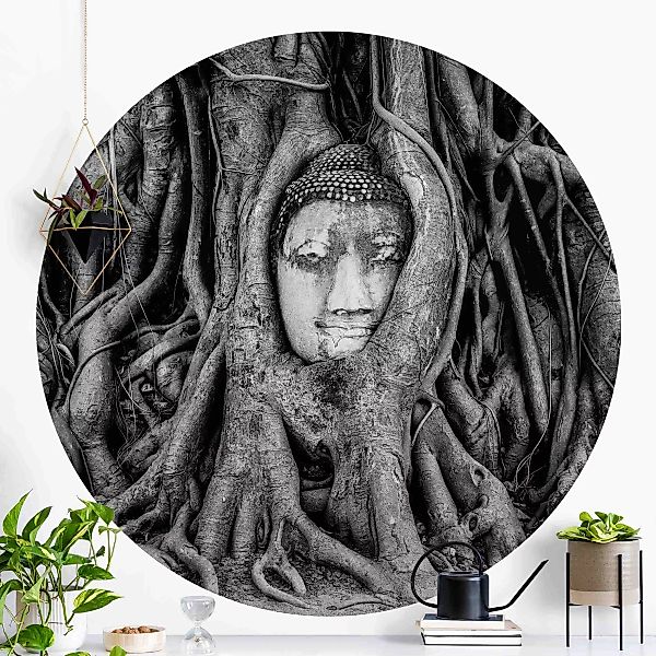 Runde Fototapete selbstklebend Buddha in Ayutthaya von Baumwurzeln gesäumt günstig online kaufen