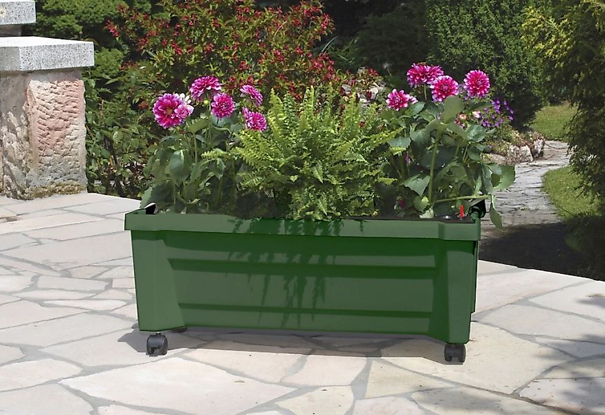 KHW Pflanzkübel, Kunststoff, BxTxH: 79x35x33 cm günstig online kaufen