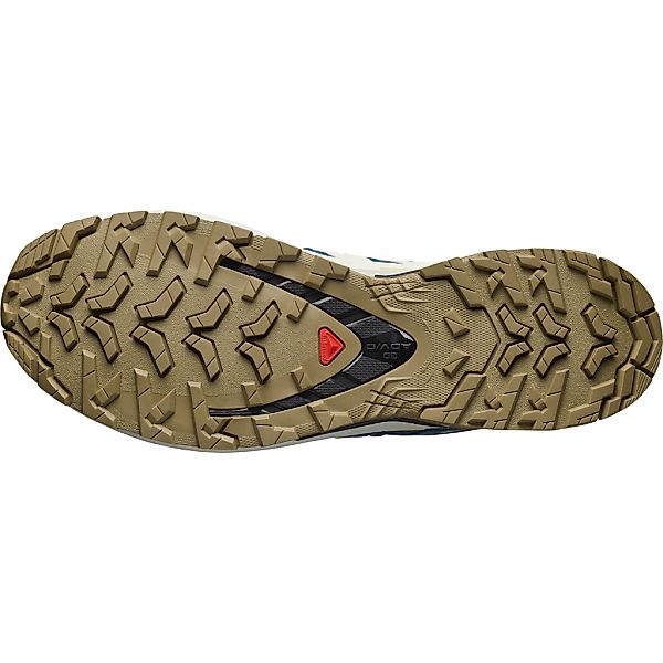 Salomon Laufschuh "XA PRO 3D V9 GORE-TEX", wasserdicht günstig online kaufen