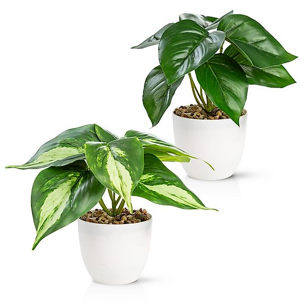 Künstliche Zimmerpflanze Kleine Kunstpflanzen & Künstliche günstig online kaufen