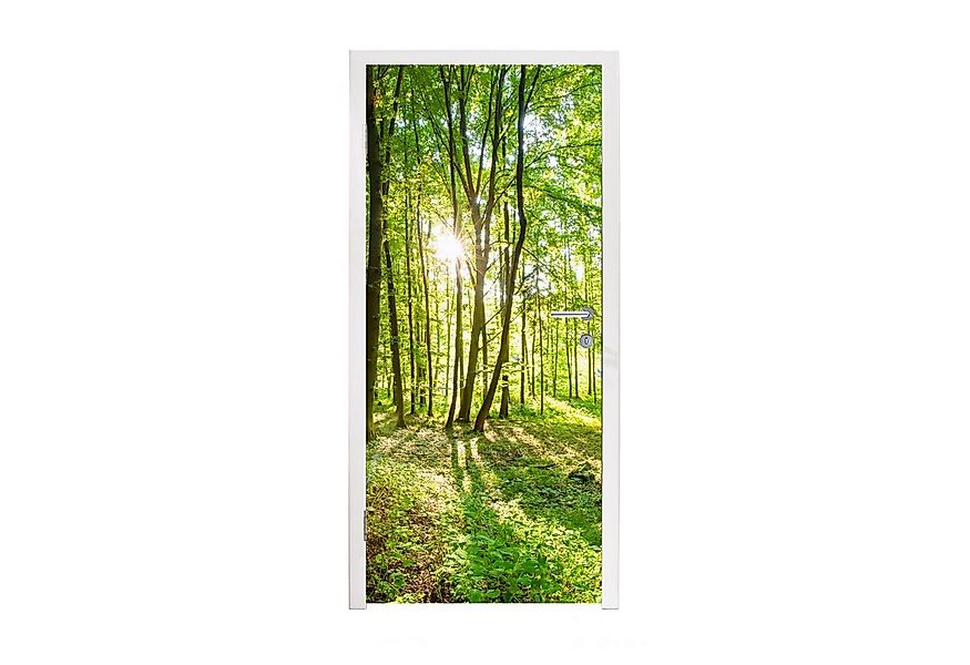 MuchoWow Türtapete Natur - Bäume - Wald - Grün - Sonnenlicht, Matt, bedruck günstig online kaufen