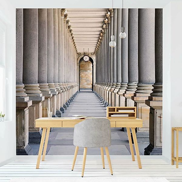 Fototapete Säulen in der Mill Kolonnade in Karlovy Vary günstig online kaufen