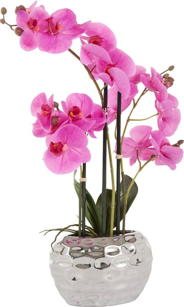 Kunstpflanze Orchidee Orchidee, Leonique, Höhe 55 günstig online kaufen