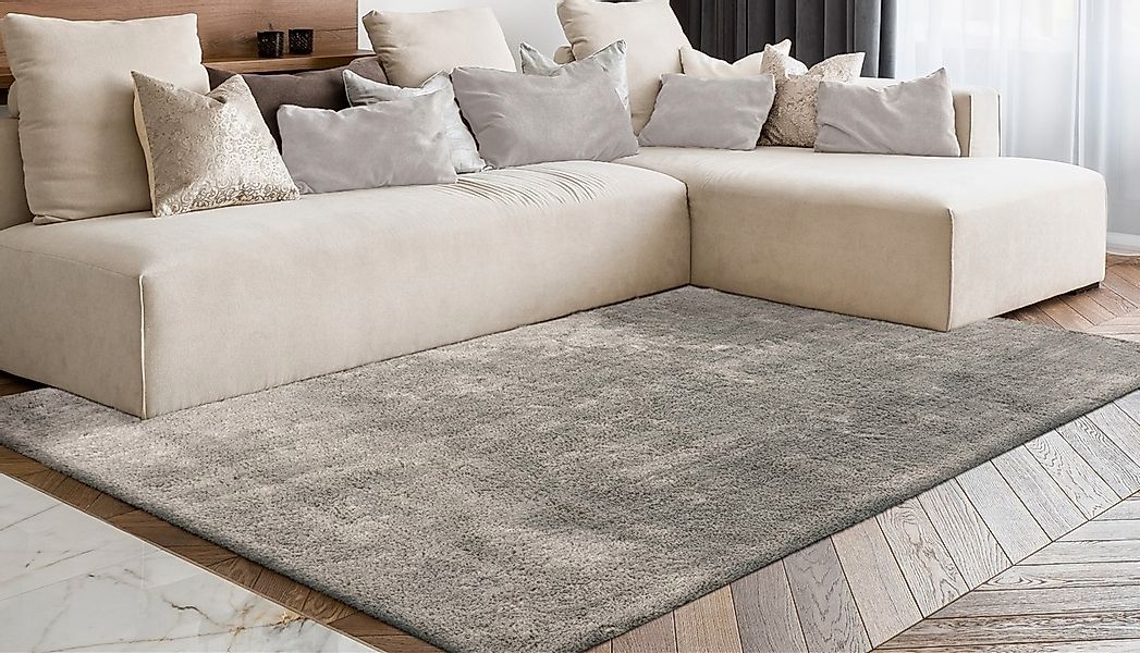 calo-deluxe Hochflor-Teppich "Vossi 111" rechteckig 40 mm Höhe besonders we günstig online kaufen