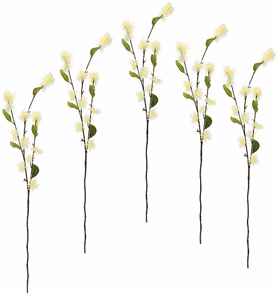 I.GE.A. Kunstblume "Zaubernuss", 5er Set günstig online kaufen