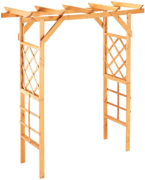 promadino Rosenbogen Pergola Ben, BxTxH: 200x65x208 günstig online kaufen