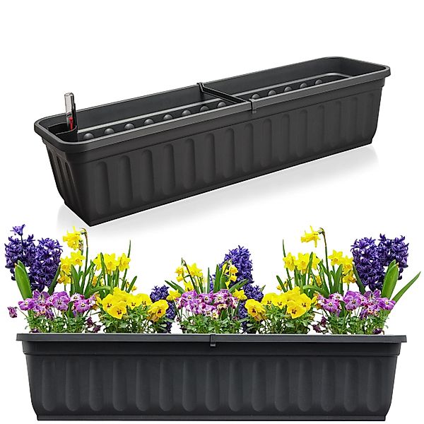 Hausfelder Blumenkasten Balkonkasten mit Wasserstandsanzeiger, Pflanzkasten günstig online kaufen
