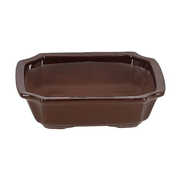 Rivanto Pflanzschale, Bonsai Schale rechteckig M günstig online kaufen