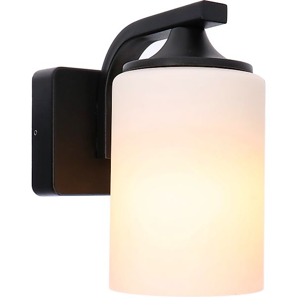 LED's light LED Außen-Wandleuchte 1000670 Außen-Wandleuchte, günstig online kaufen